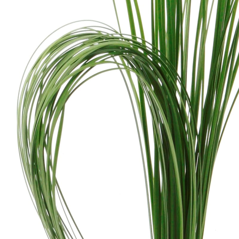 Steel Grass steel-grass